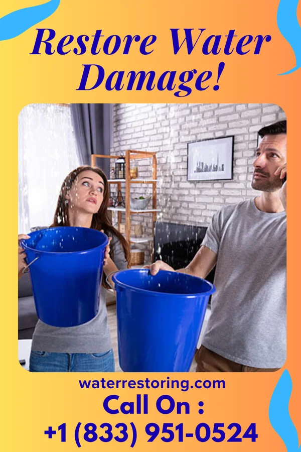 water restoration Sewage Cleanup Services Bailey