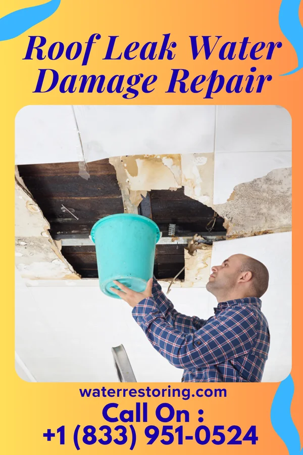 Roof Leak Water Damage Repair in Bailey, NC