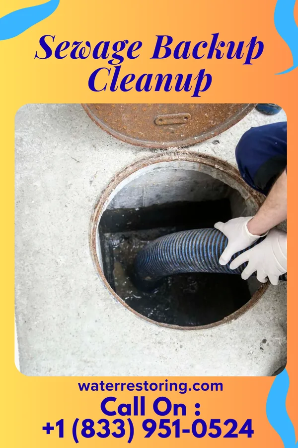 Sewage Backup Cleanup in Bailey, NC